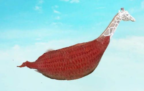 آموزش طراحی موجود خیالی در فتوشاپ